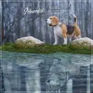 2кг Корм Primordial Holistic Grain-Free Dog Adult Mini Trout & Duck для взрослых собак мелких пород с Форелью и уткой