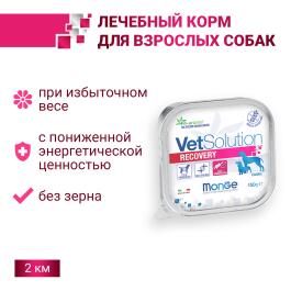 150гр Влажный корм Monge VetSolution Dog Recovery Ветеринарная диета для собак после операций и травм