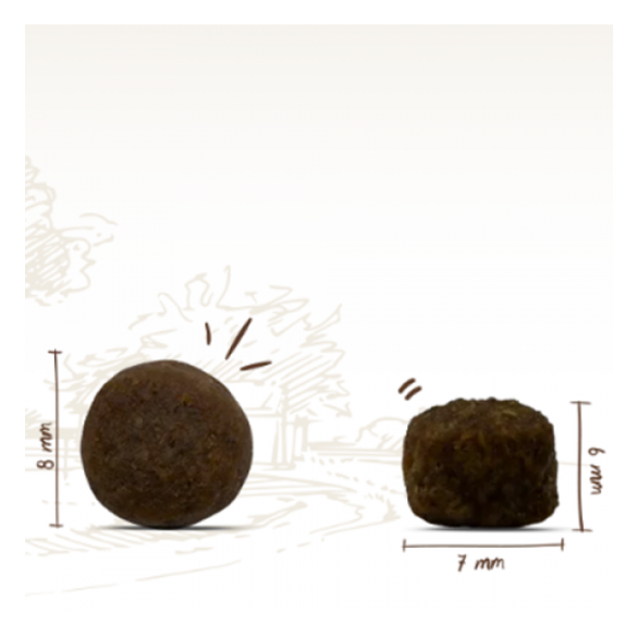 1кг Корм Bosch Adult Mini Lamb&Rice для собак маленьких пород с Ягненком и Рисом