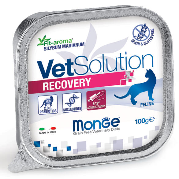 100гр Влажный корм Monge VetSolution Cat Recovery Вет. диета для кошек после операций и травм