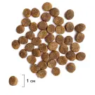3кг Корм Brit Premium Dog Adult Medium для собак средних пород, Индейка с телятиной