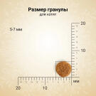 1,4кг Корм Craftia Harmona Kitten беззерновой для котят из Курицы и рыбы