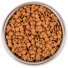 1,5кг Корм Monge Cat BWild Low Grain Kitten Goose низкозерновой для котят и беременных кошек с Гусем