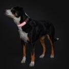 Ошейник HUNTER Collar Divo Reflect 45-55/L, Красный/серый