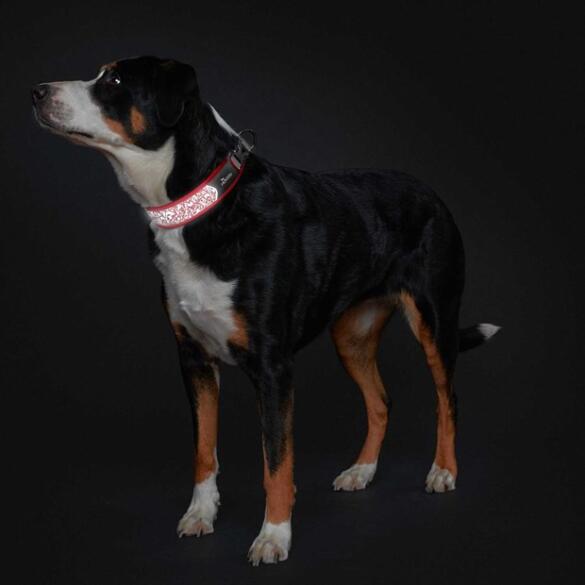 Ошейник HUNTER Collar Divo Reflect 45-55/L, Красный/серый