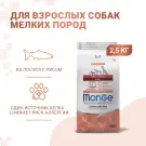 2,5кг Корм Monge Dog Monoprotein Mini Adult Salmon/Rice для взрослых собак мелких пород с Лососем и рисом