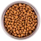 10кг Корм Monge Cat Bwild Grain Free Large Breed BUFFALO / POTATOES беззерновой для котят и взрослых кошек крупных пород с Буйволом и картофелем "Бридер"