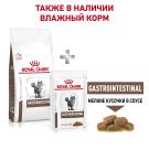2кг Корм ROYAL CANIN Gastrointestinal диета для взрослых кошек при нарушении пищеварения