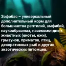 40гр Корм AQUAMENU Зофобас консервированный