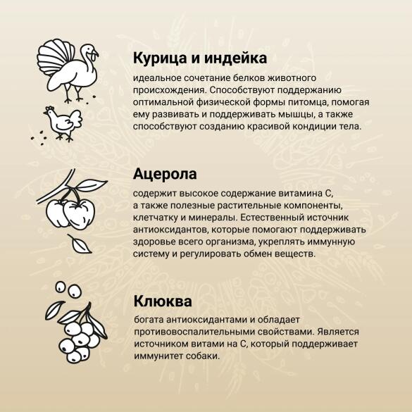 7кг Корм Craftia Natura Adult Mini для взрослых собак миниатюрных и мелких пород из Курицы и индейки