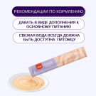 70гр Лакомство WANPY для собак «Нежное пюре» из утки