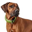 Ошейник HUNTER Collar Hilo VP охлаждающий, 40-60/L-XL, Оранжевый, сетчатый текстиль