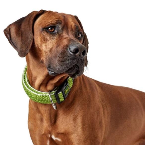 Ошейник HUNTER Collar Hilo VP охлаждающий, 40-60/L-XL, Оранжевый, сетчатый текстиль