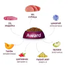 2кг Корм Award для взрослых собак крупных пород с Курицей и Индейкой с добавлением тыквы и шиповника