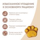 4гр Лакомство Мнямс "Фросты" для собак и щенков с 4 месяцев с Лососем, Манго+питахайя, 1шт