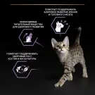 85гр Корм для кошек PRO PLAN Sterilised с Индейкой в соусе