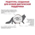 2кг Корм ROYAL CANIN Gastrointestinal диета для взрослых кошек при нарушении пищеварения
