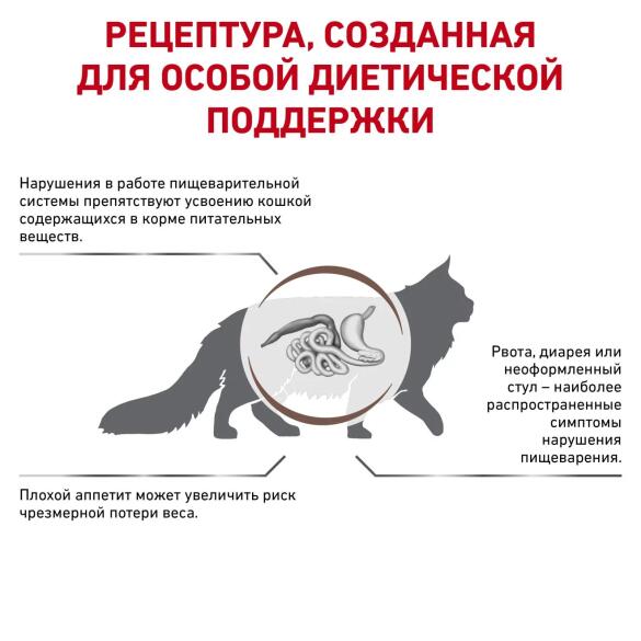 2кг Корм ROYAL CANIN Gastrointestinal диета для взрослых кошек при нарушении пищеварения