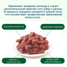 100гр Лакомство WANPY для собак "Зубные щетки со вкусом говядины"