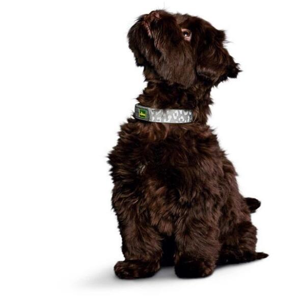 Ошейник HUNTER Collar Convenience Refl Glow 40/S, Леопард