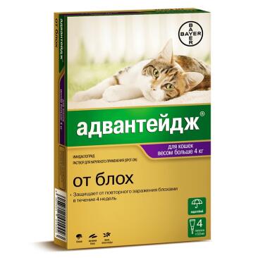Капли на холку Bayer Адвантейдж Elanko от блох и клещей для кошек более 4кг, 1шт*0,8мл