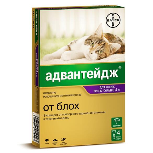 Капли на холку Bayer Адвантейдж Elanko от блох и клещей для кошек более 4кг, 1шт*0,8мл