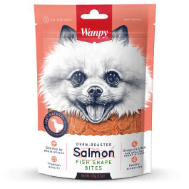 100гр Лакомство WANPY кусочки из лосося в форме рыбок для собак