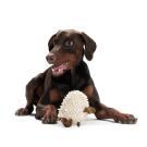 Игрушка Hunter Toy Dog Snugly Sheep для собак с пищалкой, 17см