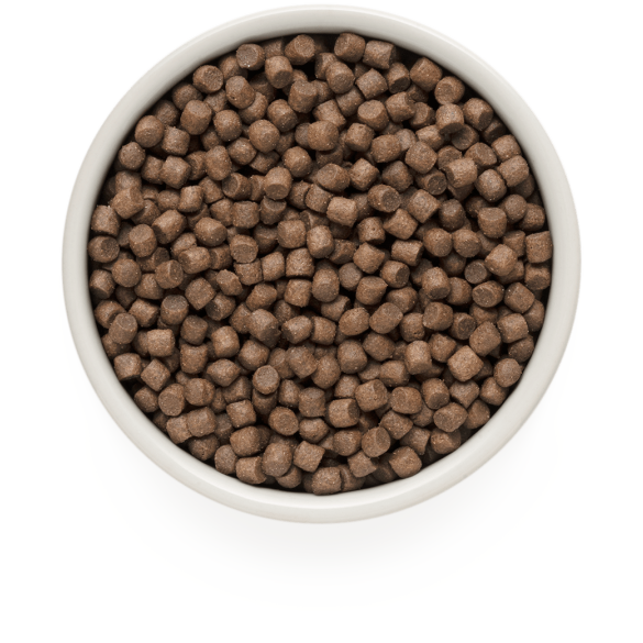 3кг Корм GRANDORF DOG 4 Meat PROBIOTIC MINI BREEDS с пробиотиками для собак мелких пород 4 мяса