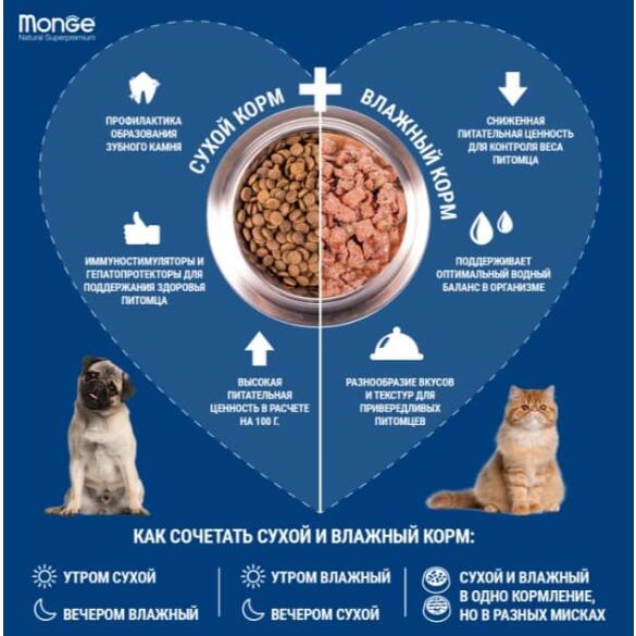 100гр Влажный корм Monge Dog FRESH CodFish для собак, паштет из Трески