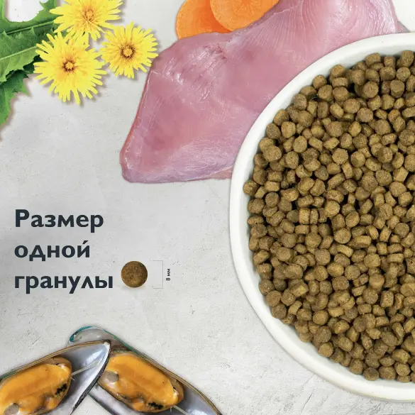 0,4кг Корм Brit Care Cat Kitten Healthy Growth для котят с Индейкой