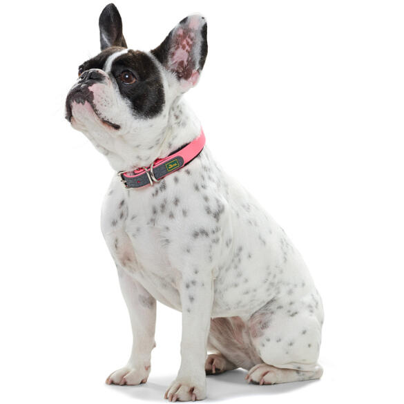 Ошейник HUNTER Collar Convenience Comf для собак 50/M, Неоновый розовый