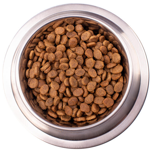 2кг Корм Monge VetSolution Dog Dermatosis Вет. диета для собак с заболеваниями кожи