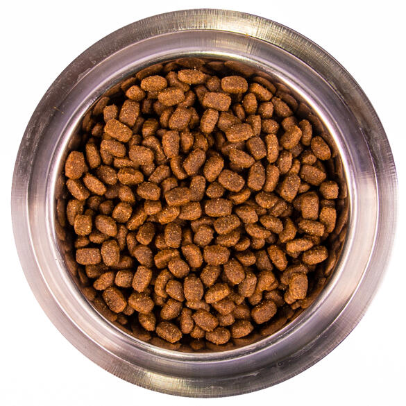 0,8кг Корм Monge Dog Mini Adult Chicken/Rice для взрослых собак мелких пород c Курицей и рисом