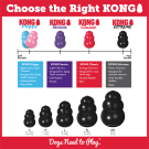 Игрушка-интерактивная KONG Toy Dog Extreme для собак, M, черный