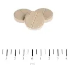 Витамины для собак Canina V25 Vitamin для восполнения дефицита витаминов, содержит 11 важнейших витаминов (A, B, C, D, E, аминокислоты), 700г (~210 таб)