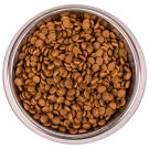 1,5кг Корм Monge Cat Monoprotein Kitten Trout Монопротеиновый для котят и беременных кошек с Форелью