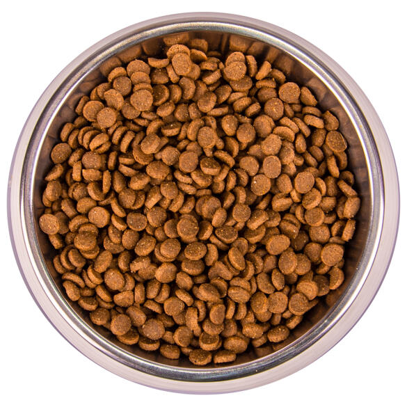 1,5кг Корм Monge Cat Monoprotein Kitten Trout Монопротеиновый для котят и беременных кошек с Форелью