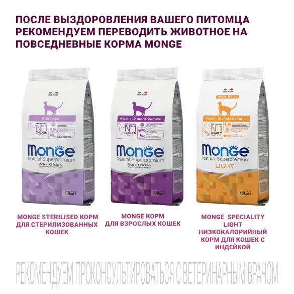 0,4кг Корм Monge VetSolution Cat Gastrointestinal Вет. диета для кошек с заболеваниями ЖКТ