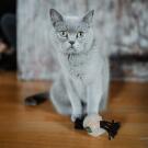 Игрушка Hunter Toy Cat Moa Ball для кошек, 13см