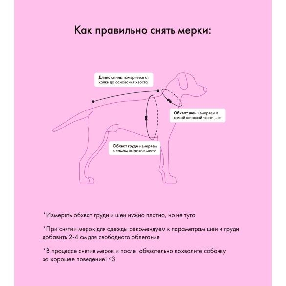 Свитер для собак Lion Pets,зеленый с мухоморами, размер L (35см)