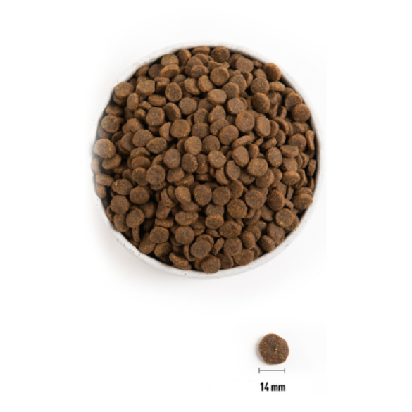2кг Корм ACANA DOG GRASS-FED LAMB беззерновой для взрослых собак и щенков с Ягненком