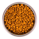 1,5кг Корм Monge Cat Monoprotein Sterilized Codfish Монопротеиновый для стерилизованных кошек с Треской