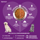 20кг Gemon Dog Adult LAMB / RICE для взрослых собак всех пород с ягненком и рисом