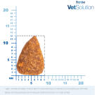 2кг Корм Monge VetSolution Dog Renal and Oxalate Вет. диета для собак  с почечной недостаточностью и для профилактики МКБ оксалатного типа