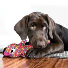 Игрушка KONG Toy Dog KONG Wubba Finz для собак, S, светло-розовый