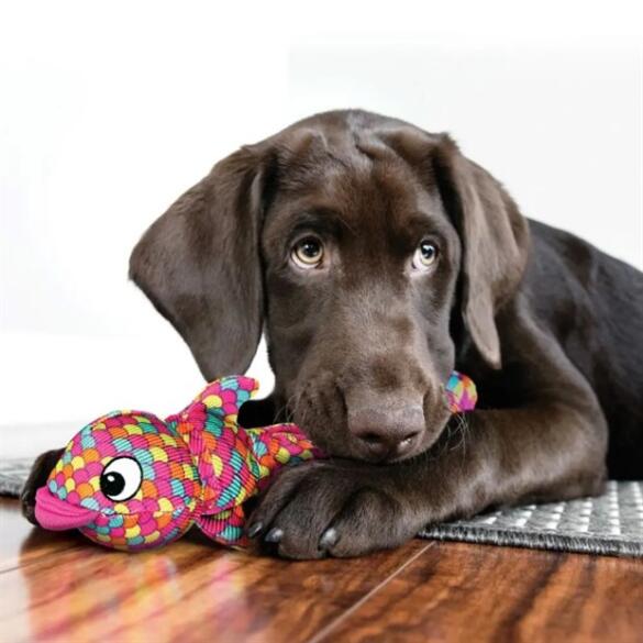Игрушка KONG Toy Dog KONG Wubba Finz для собак, S, светло-розовый