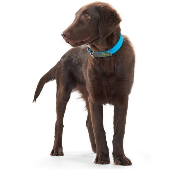 Ошейник HUNTER Collar Convenience 50/M, Бирюзовый