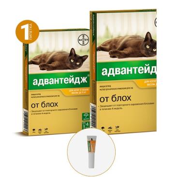 Капли на холку Bayer Адвантейдж Elanko от блох и клещей для кошек и котят до 4кг, 1шт*0,4мл