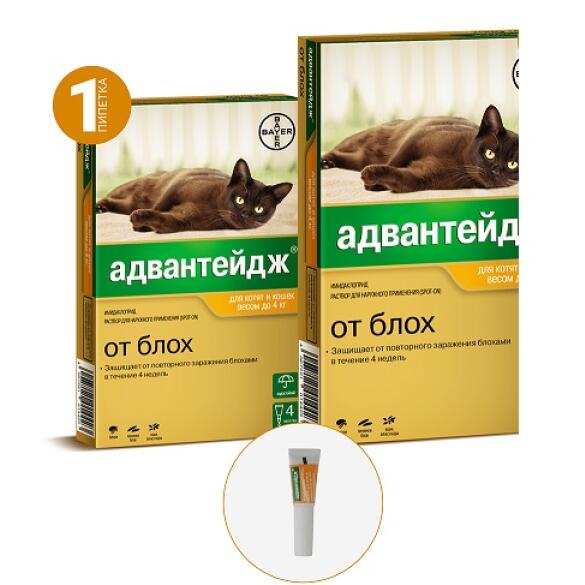 Капли на холку Bayer Адвантейдж Elanko от блох и клещей для кошек и котят до 4кг, 1шт*0,4мл